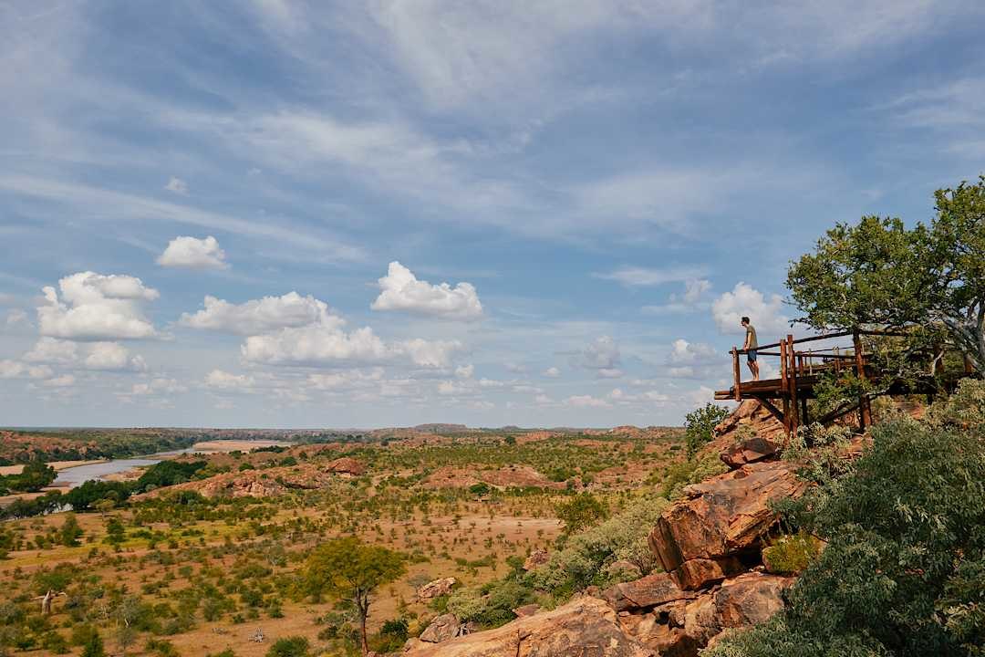 Man looking at the landscape of Mapungubwe, South Africa.