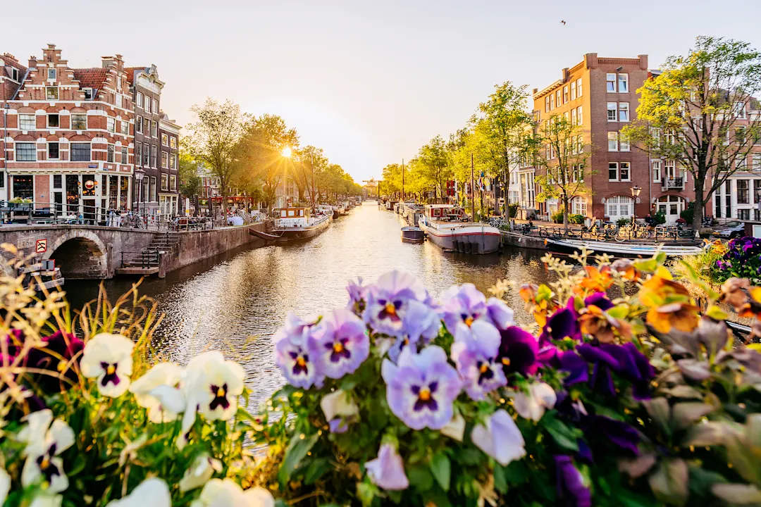 Jordaan District in Amsterdam