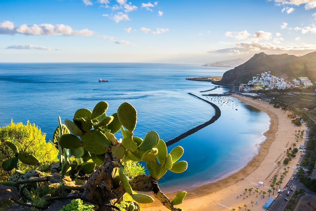 Tenerife in the Canary Islands, Spain
