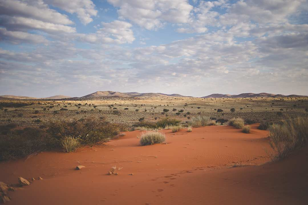 Kgalagadi Red dunes, South Africa.