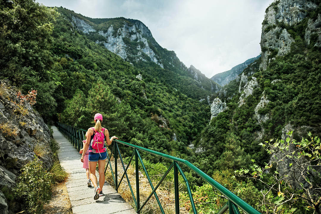 A family hikes through Mount Olympus National Park’s lush green trails. 