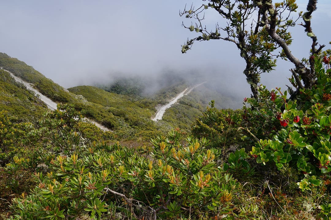 View from the top of Barú volcano in Volcan, Panama