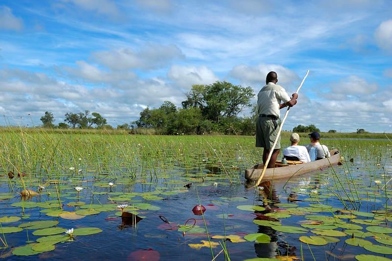 Mokoro safari in the Okavango Delta