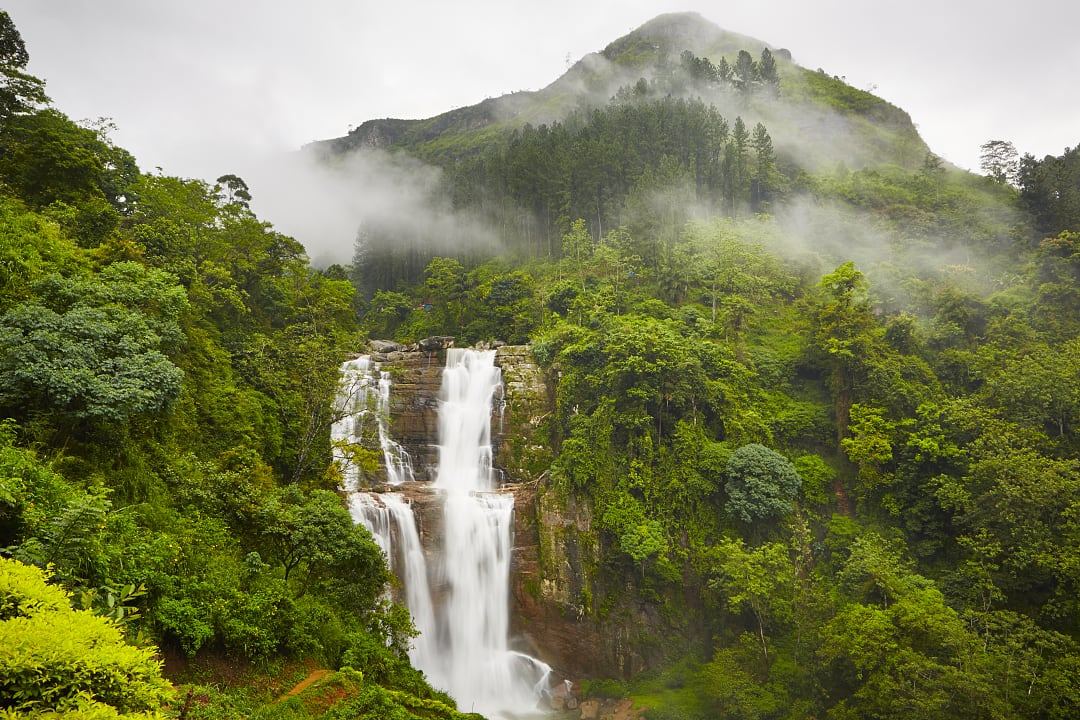 Waterfall in deep forest near Eliya in Sri Lanka