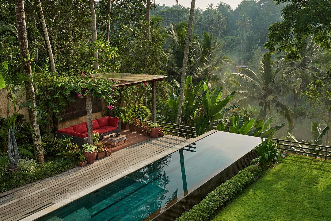 An infinity pool surrounded by the jungle in Ubud.