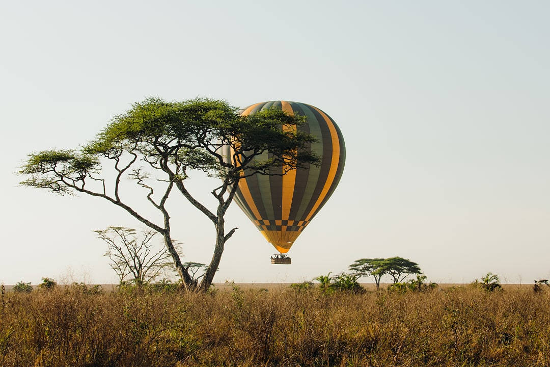 Hot air balloon ride over the Serengeti in Tanzania.
