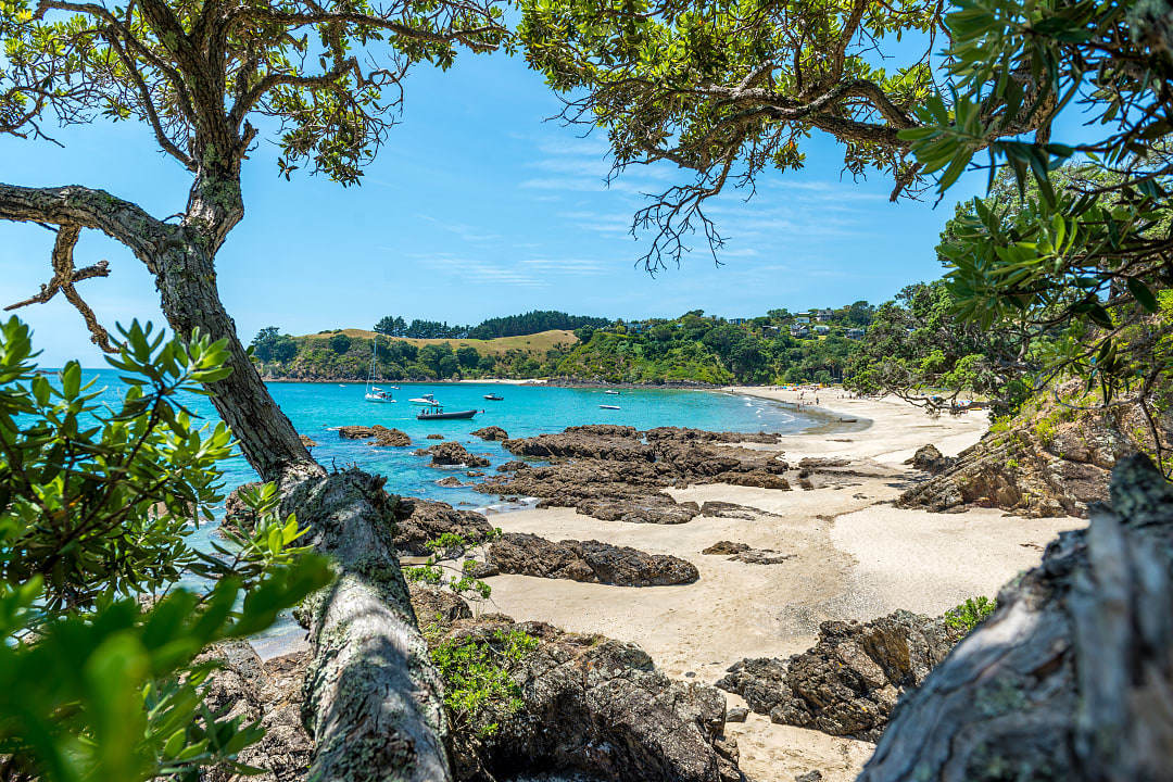 Palm Beach, Waiheke Island, New Zealand