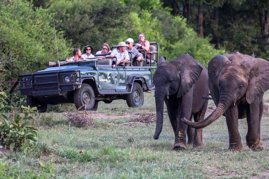 Game drive in MalaMala Game Reserve.  Photo courtesy of MalaMala Game Reserve
