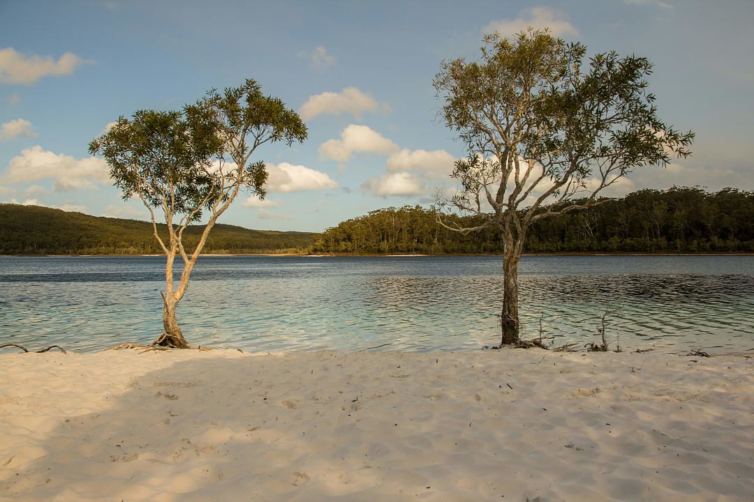 The crystal-clear rainwater and silica sands of Lake McKenzie, a world-renowned perched lake on Fraser Island.