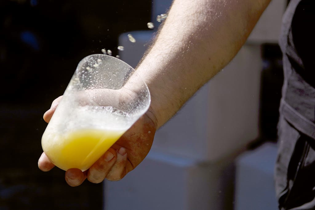 Fresh cider in a sagardotegi