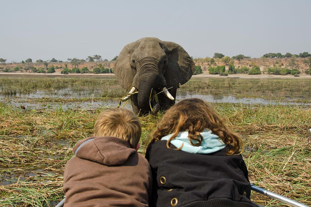 Two children watch an elephant up close during a boat safari.