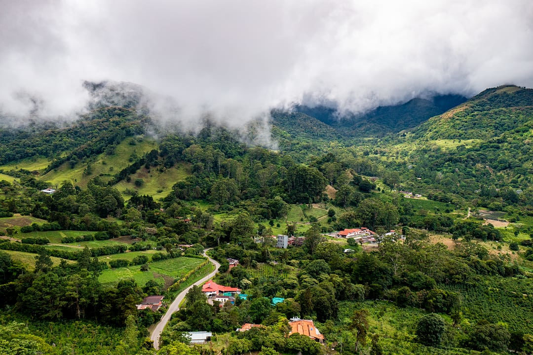 Coffee plantations in Boquete, Panama