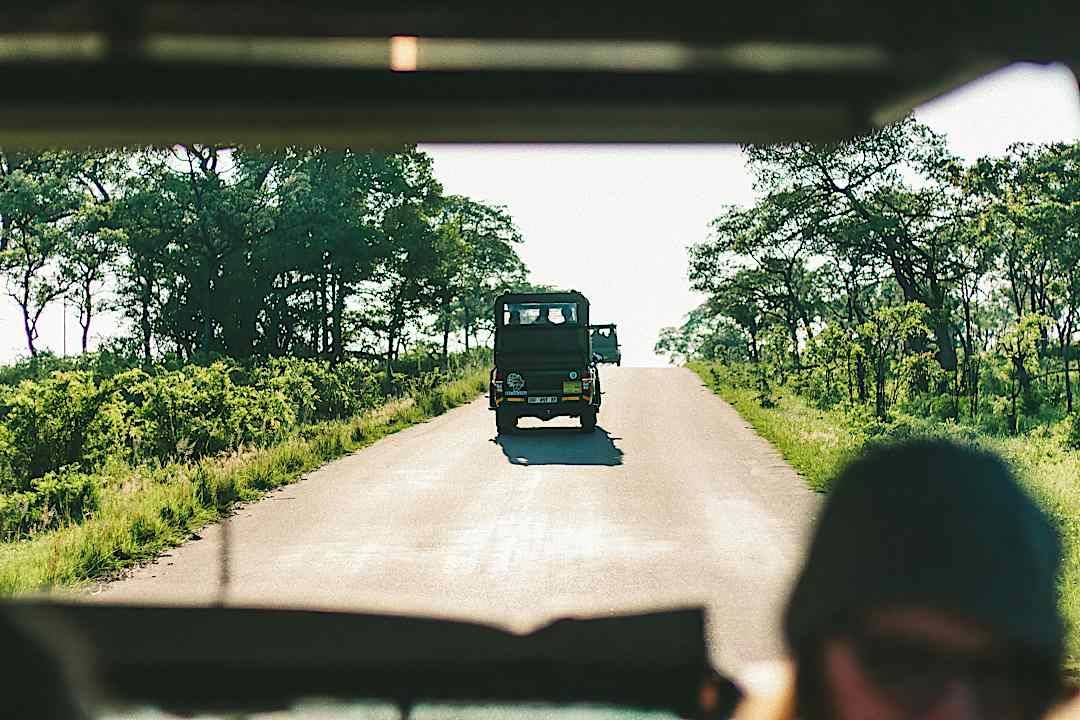 Safari in the Kruger with multiple vehicles, South Africa.