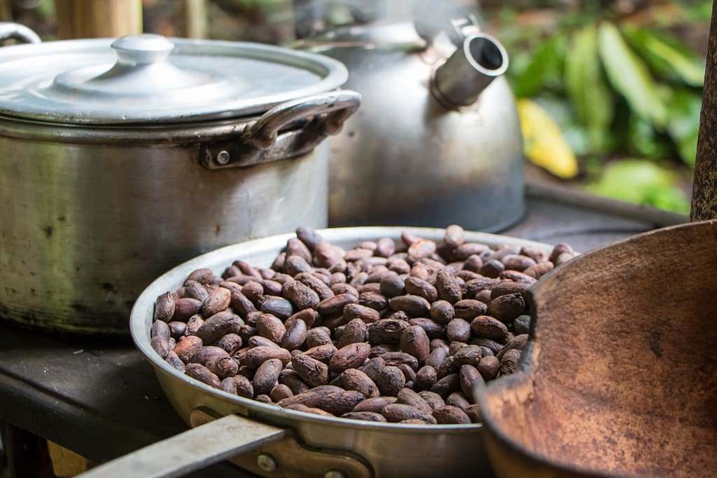 Roasted cacao beans in Costa Rica