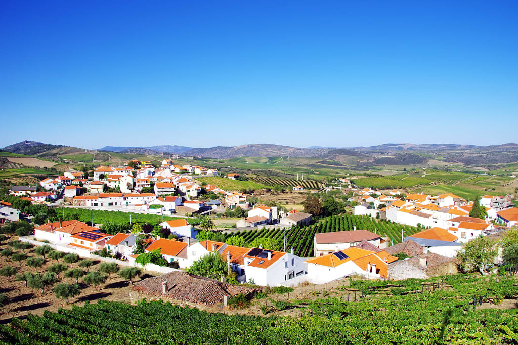 Village and vineyards in the Douro Valley, Portugal