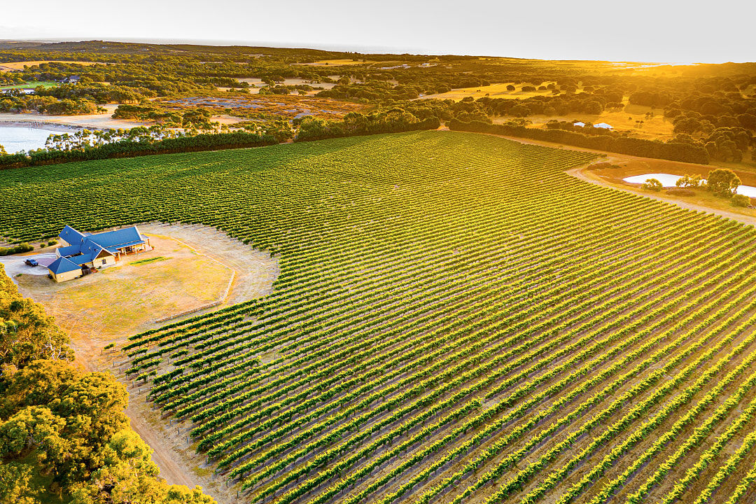 Golden hour over Margaret River’s vineyards on the Australian coastline.
