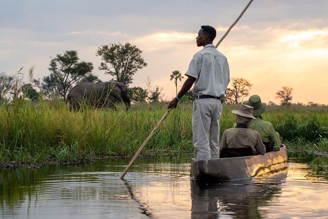 Guide steering a canoe with tourists through the Okavango Delta in Botswana at sunset, with an elephant grazing nearby in the grassy landscape.