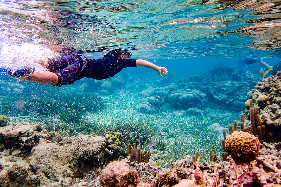 Child snorkeling in Ambergris Caye, Belize
