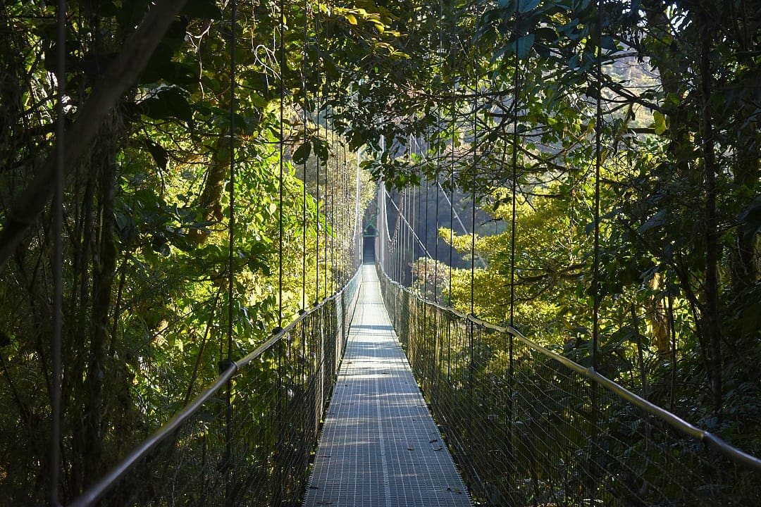 Hanging bridge in Monteverde Cloud Forest Biological Reserve, Costa Rica