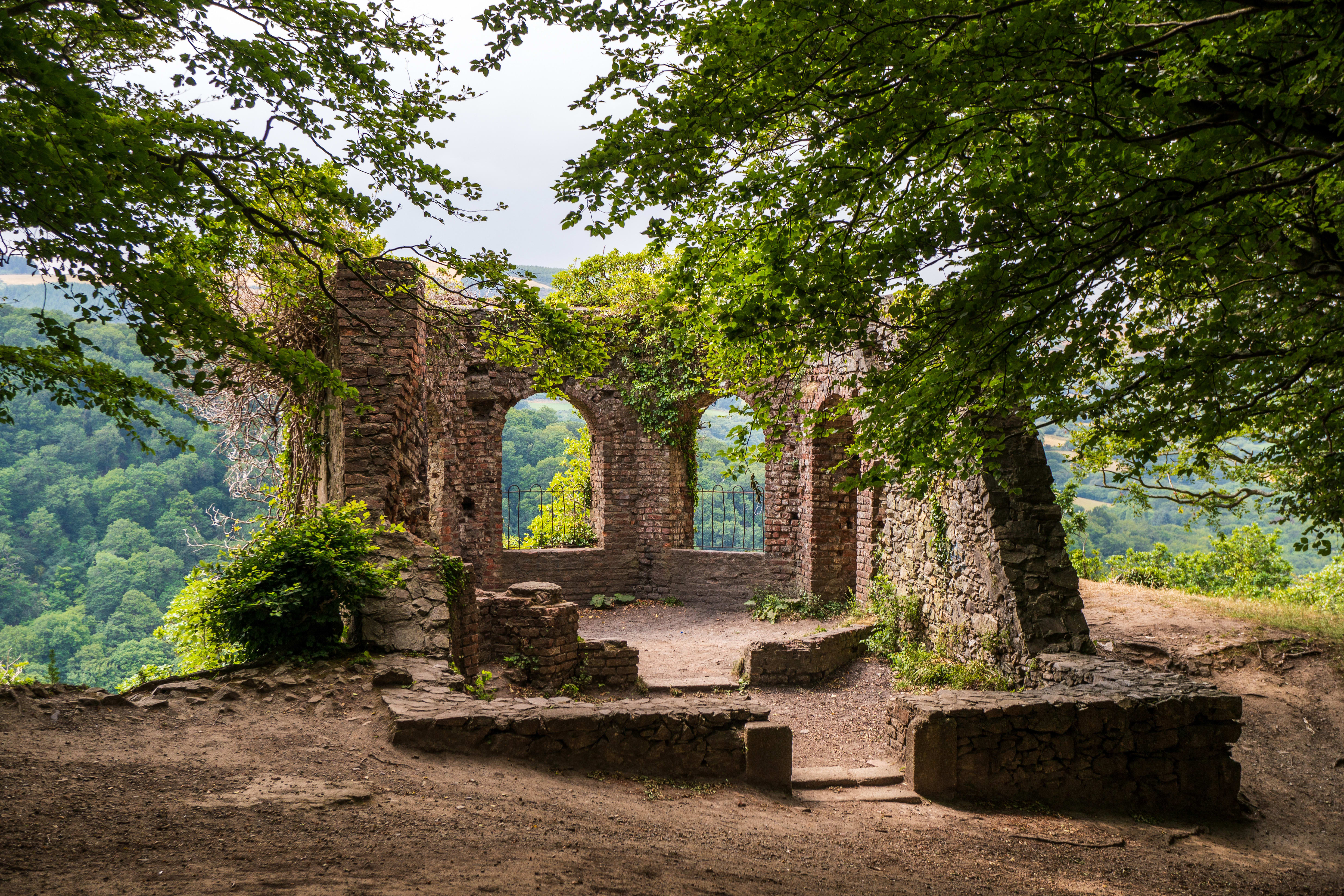 Glen of The Downs,Delgany,Ireland