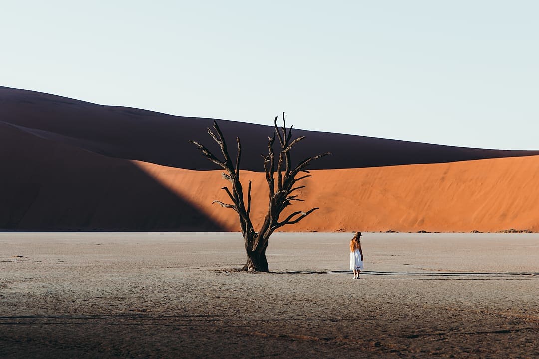 Naukluft National Park, Sossusvlei, Namibia.