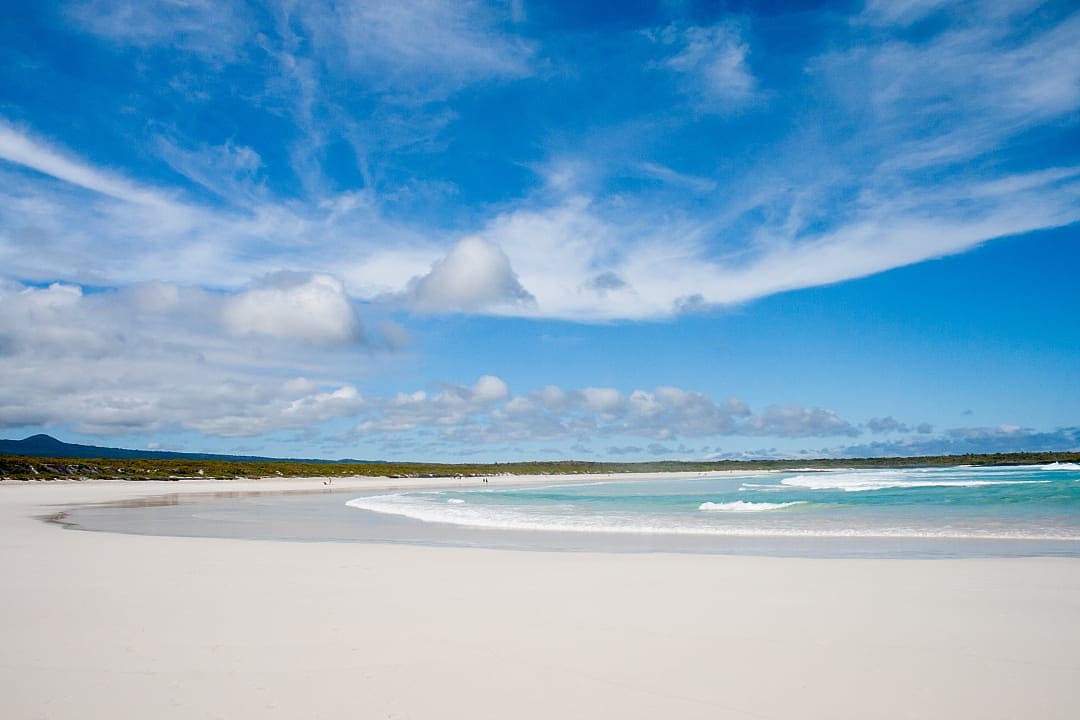 White sand beach and clear water at Tortuga Bay in EcuadorWhite sand beach and clear water at Tortuga Bay in Ecuador