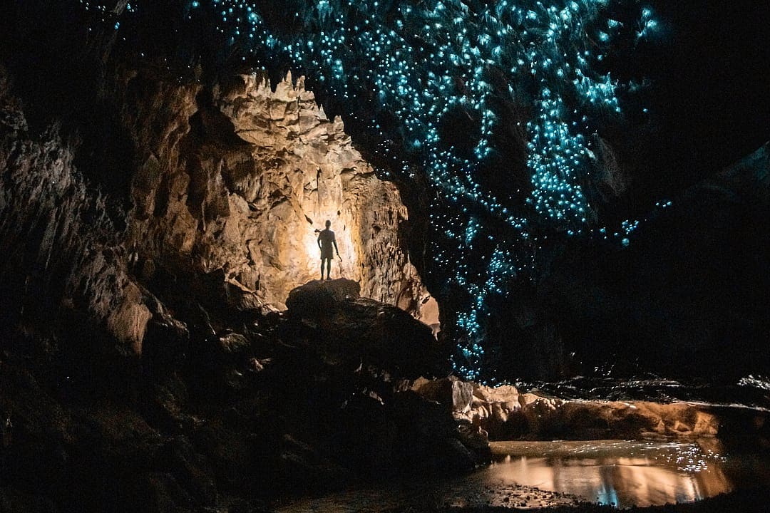 Glowworm cave in New Zealand.
