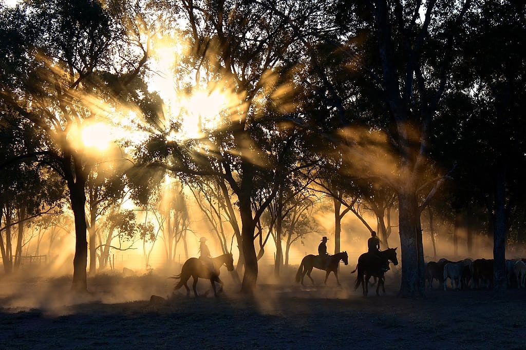 Cattle station in Australia.