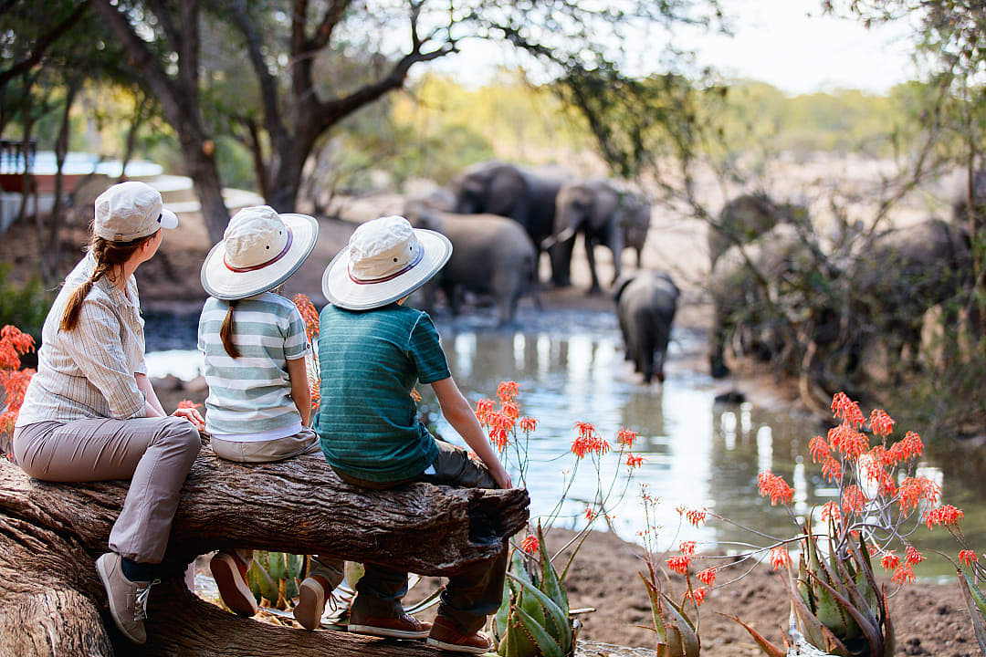 Mother and children sitting on a log watching elephants drinking from a watering hole in South Africa Game Reserve