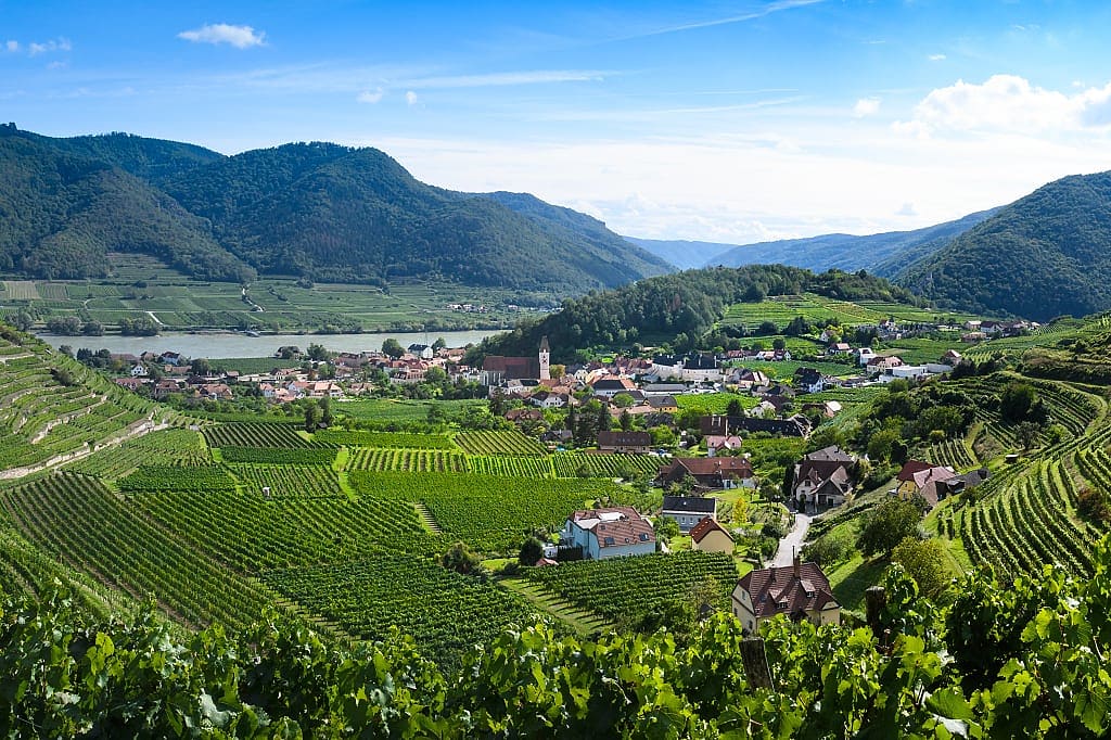 Vineyards along the Danube river in the Wachau wine region of Austria