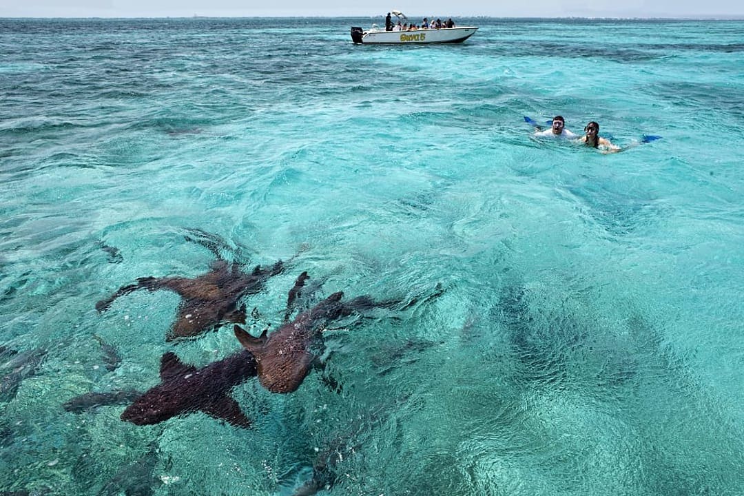 Couple snorkeling off the island’s shores of Cayo Espanto.