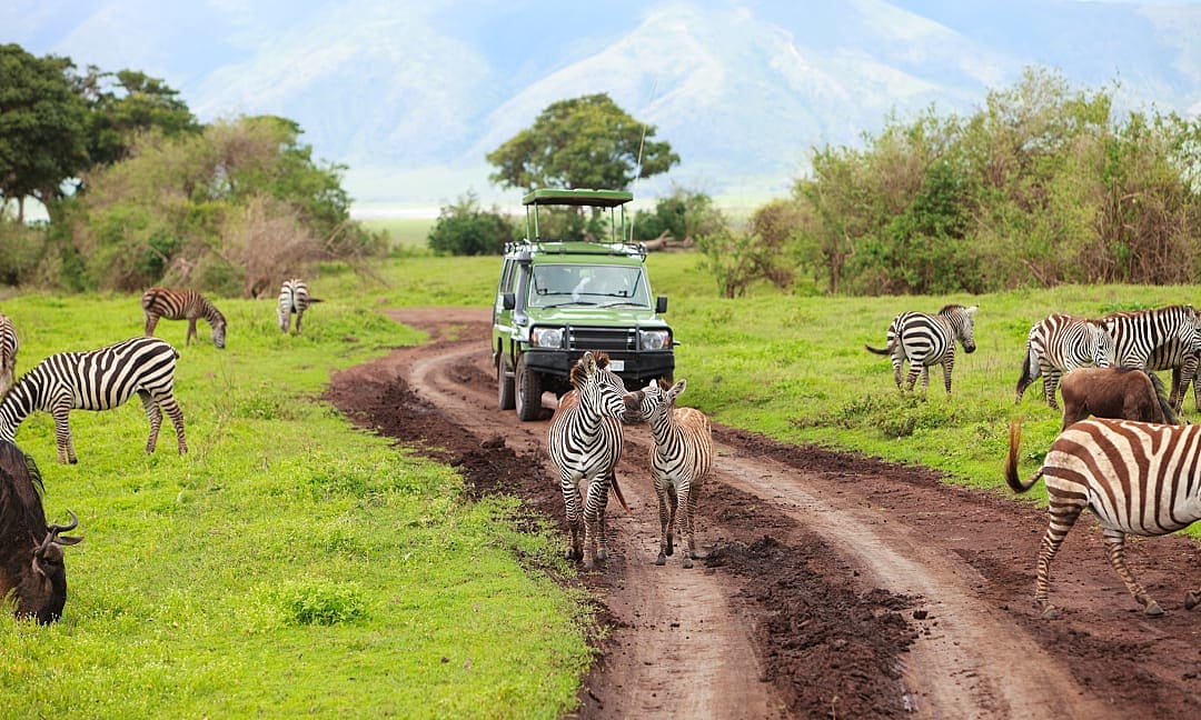 Game drive through Ngorongoro, Tanzania