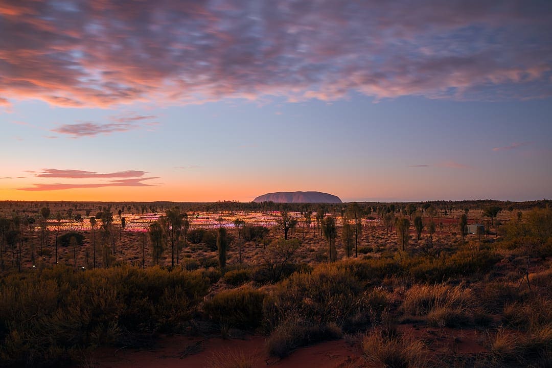 Field of Lights at Uluru
