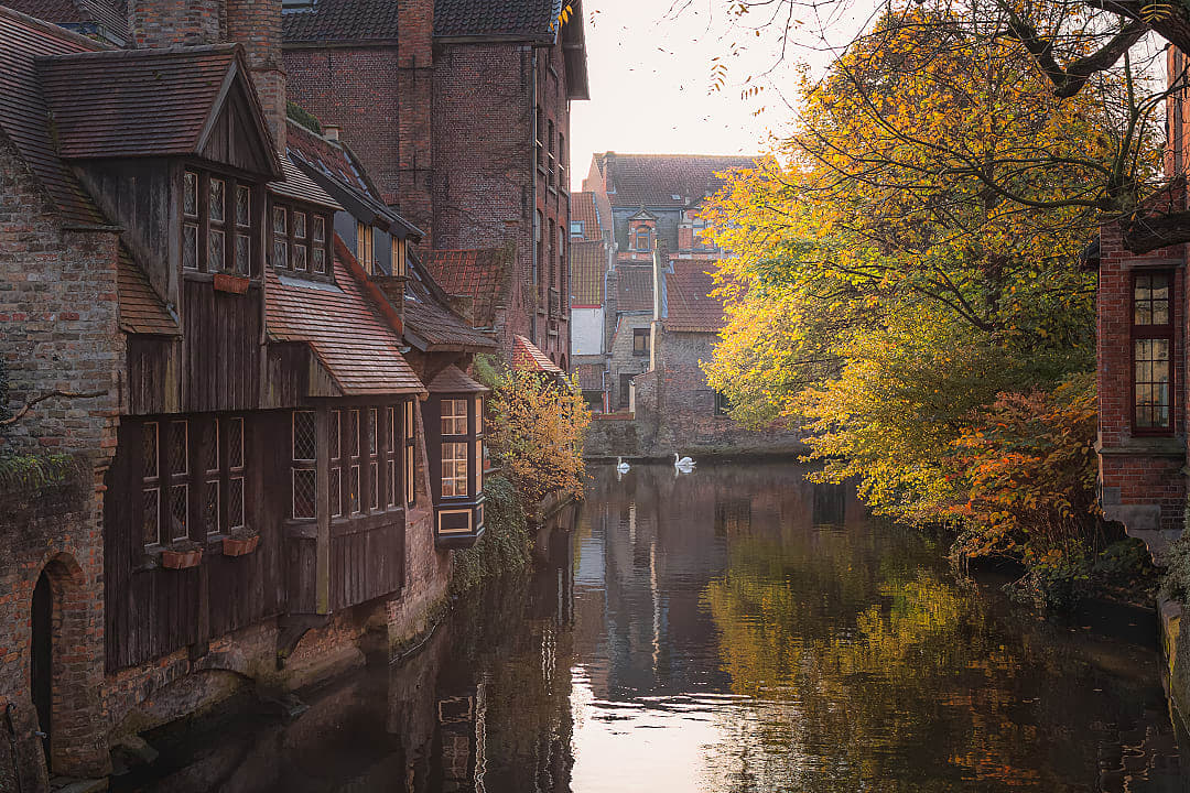 A canal scene in Bruges, where medieval brick houses and autumn-colored trees reflect in the still water.