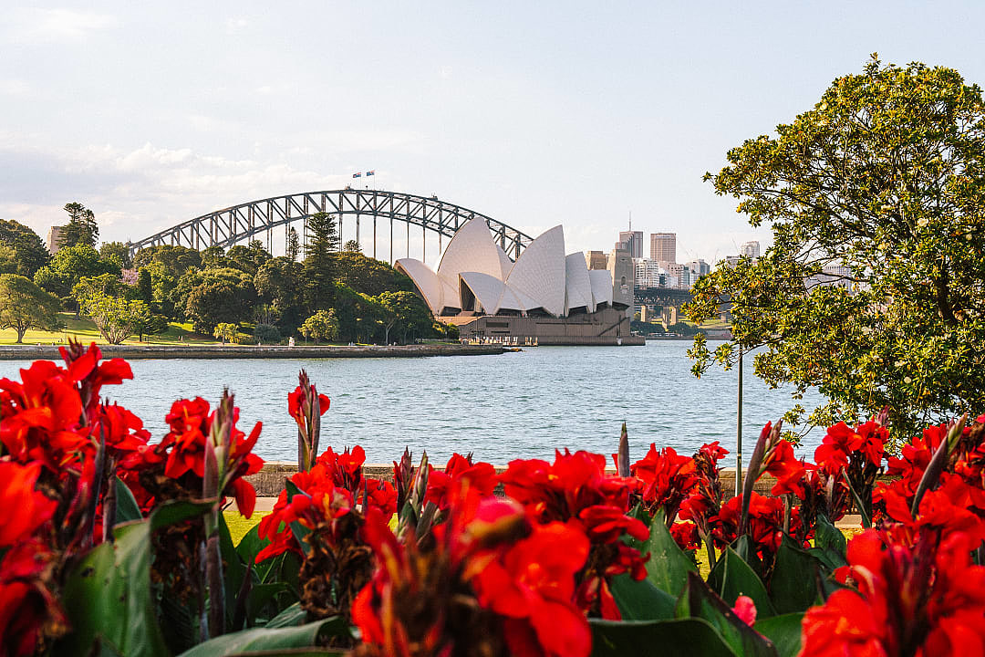 Sydney Opera House and Harbor Bridge seen from Royal Botanic Garden Sydney