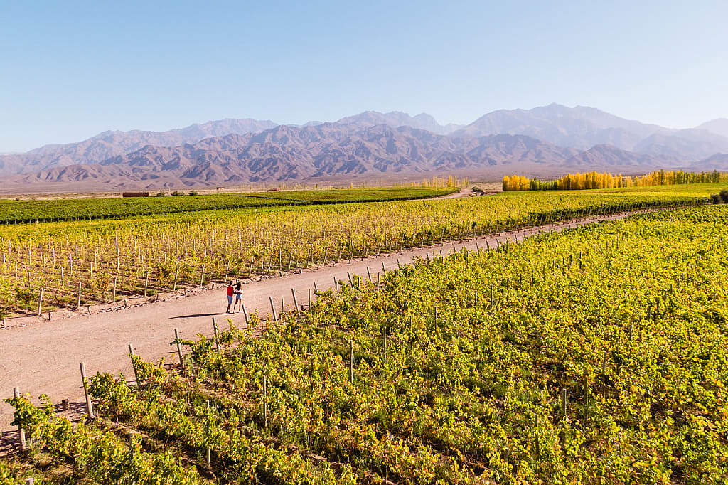 Couple walking through vineyards in Mendoza, Argentina