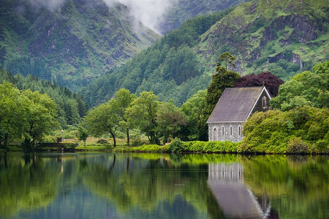 Forest and Saint Finbarr’s Oratory in Country Cork, Ireland.