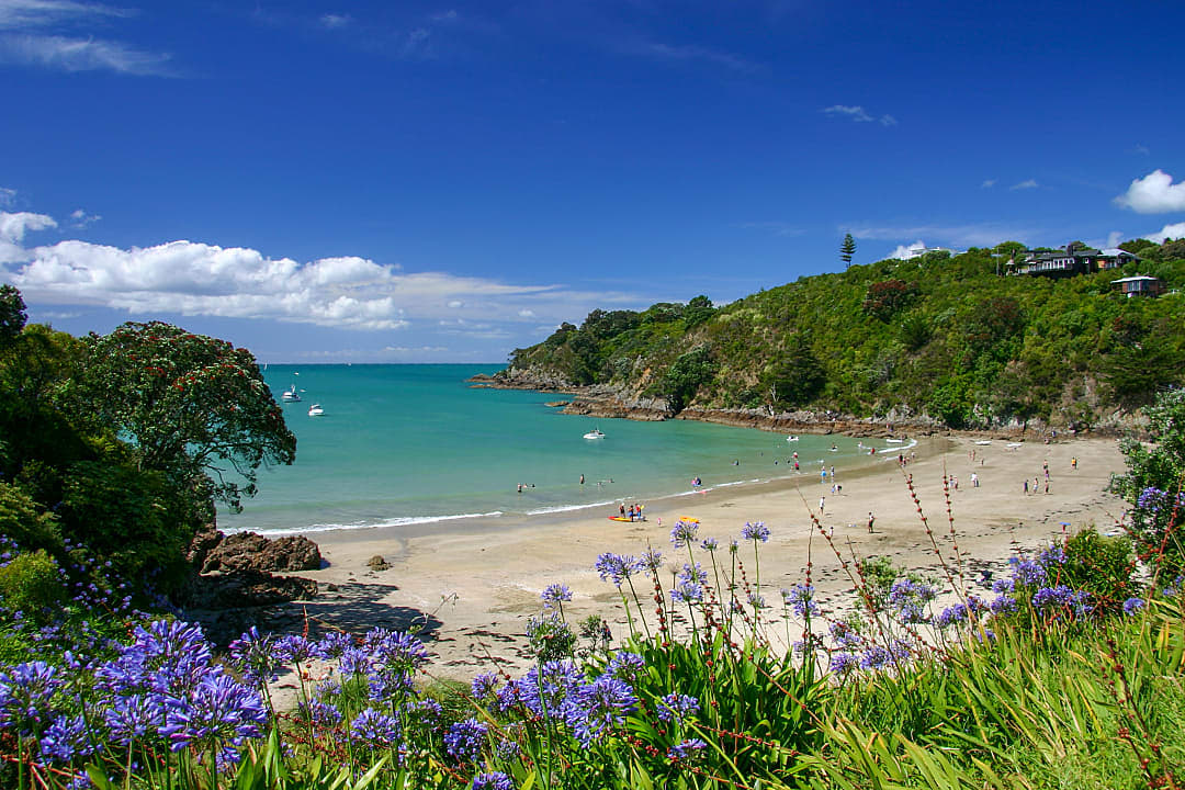 A sunny coastal cove on Waiheke Island, Auckland.
