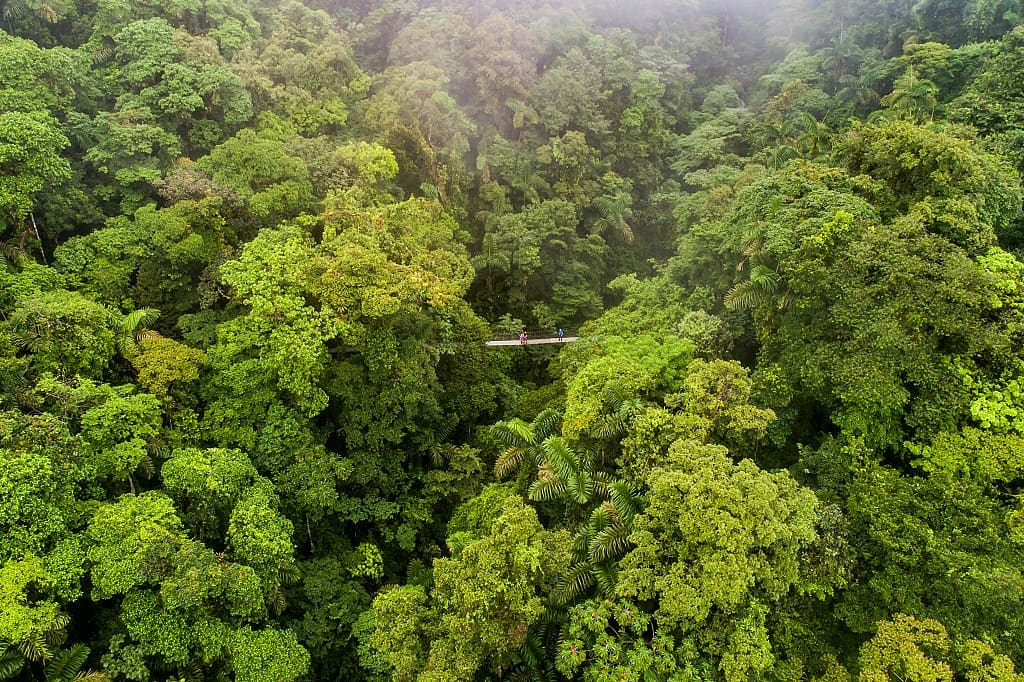 Couple on a suspension bridge in La Fortuna rainforest in Costa Rica