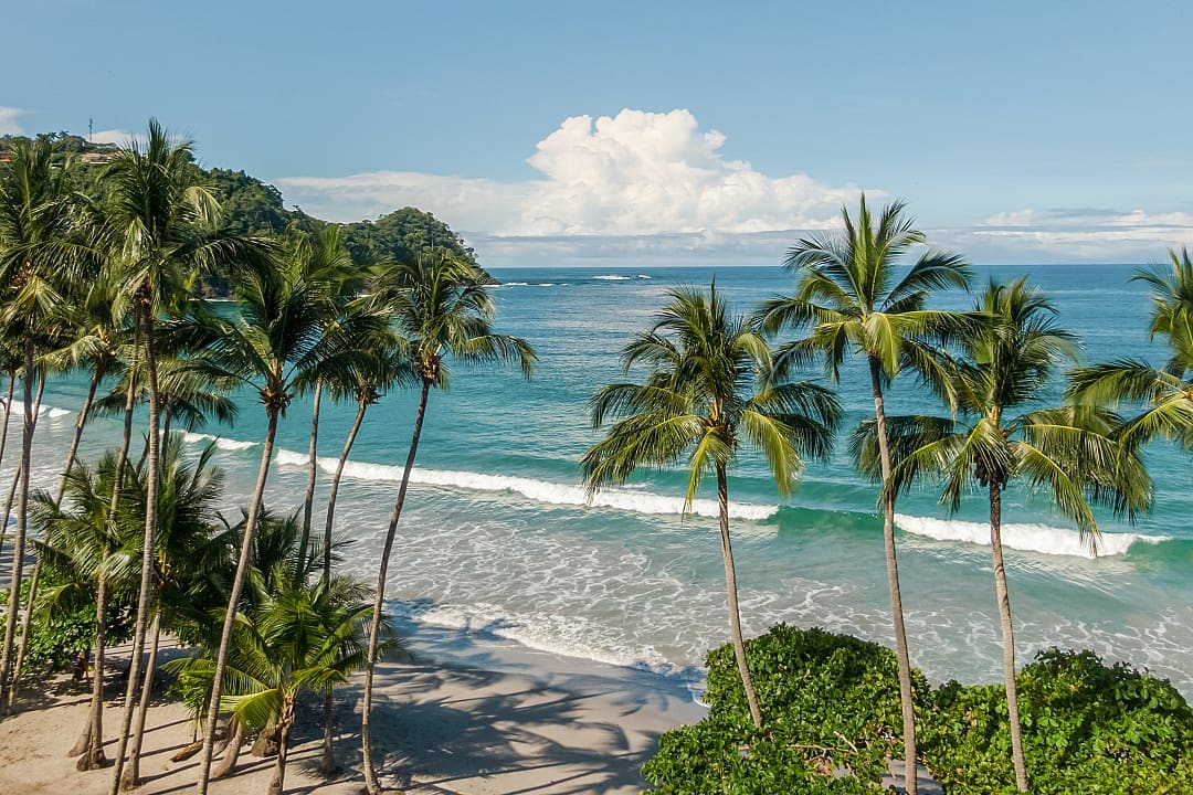 Palm trees lining a tropical beach with turquoise waves in Manuel Antonio, Costa Rica