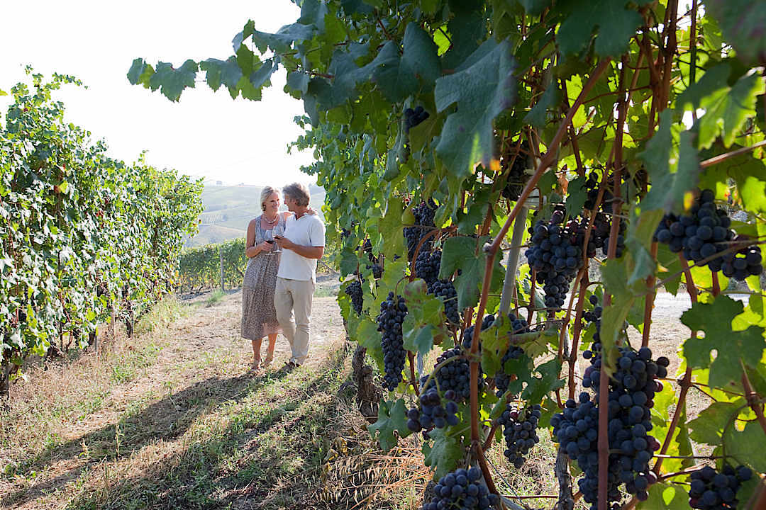 Senior couple walking through vineyard rows during a luxury wine tasting experience
