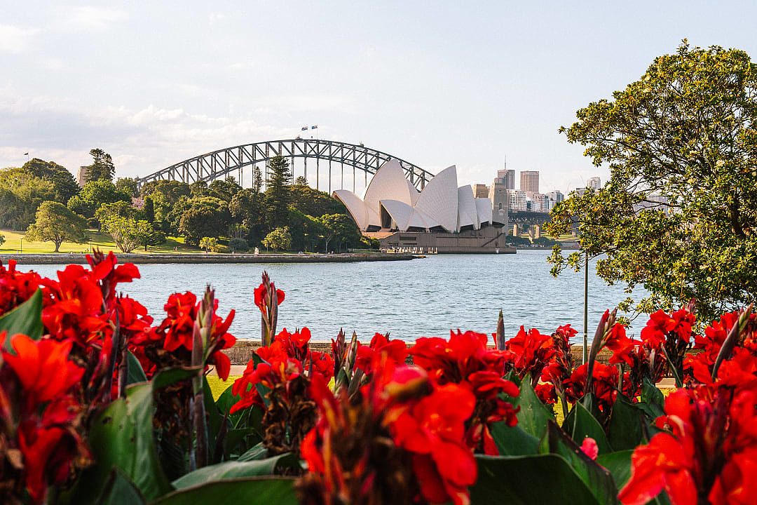 View of the Sydney Opera House from the Royal Botanic Gardens in Sydney, Australia