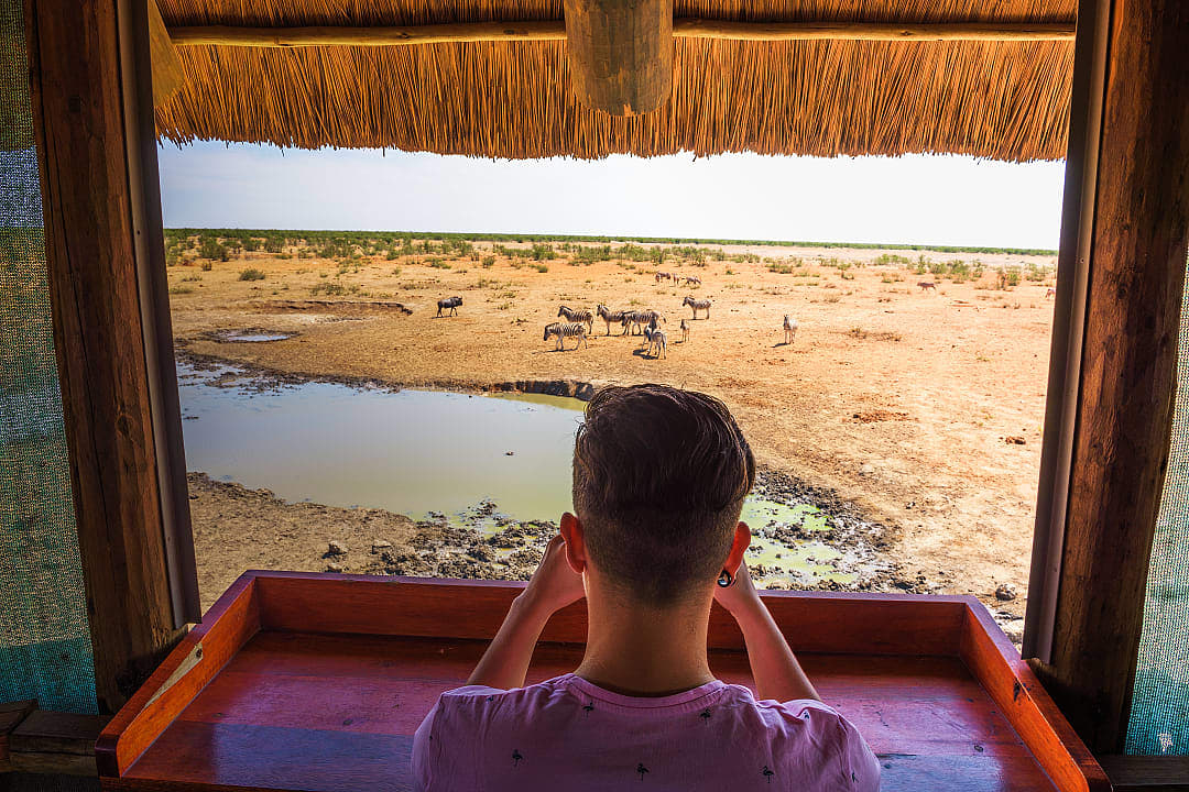 Tourist watches and films wildlife from a hide at the Olifantsrus waterhole in Etosha National Park, Namibia