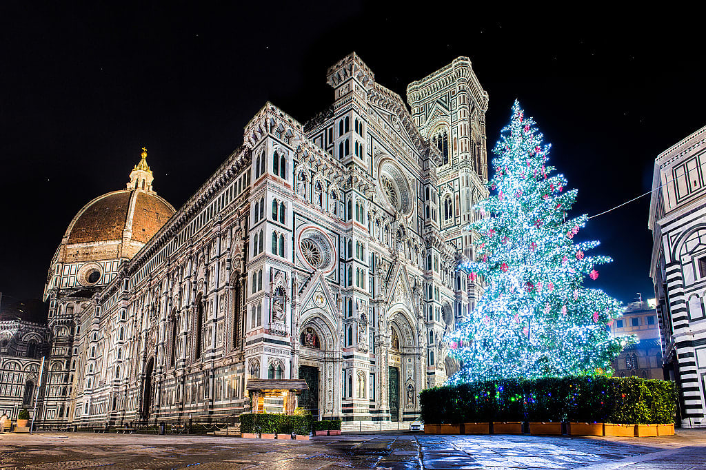 Christmas tree light up at night, in front of the Duomo in Florence, Italy