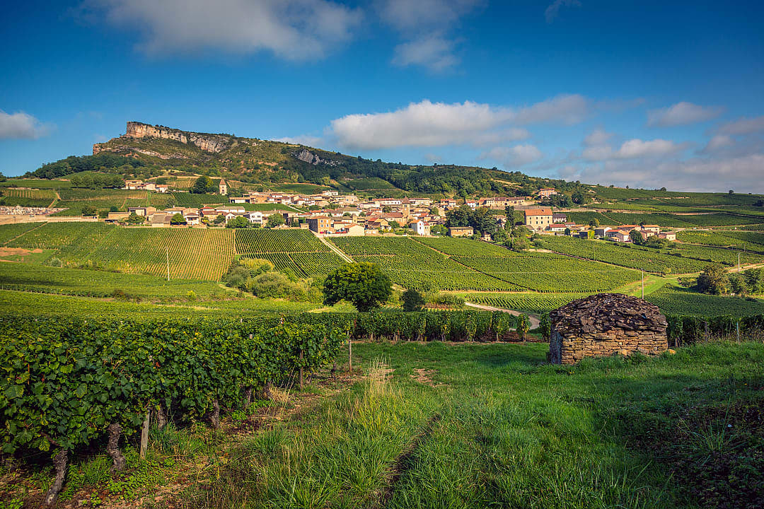 Solutré-Pouilly surrounded by vineyards with the Rock of Solutré in the background