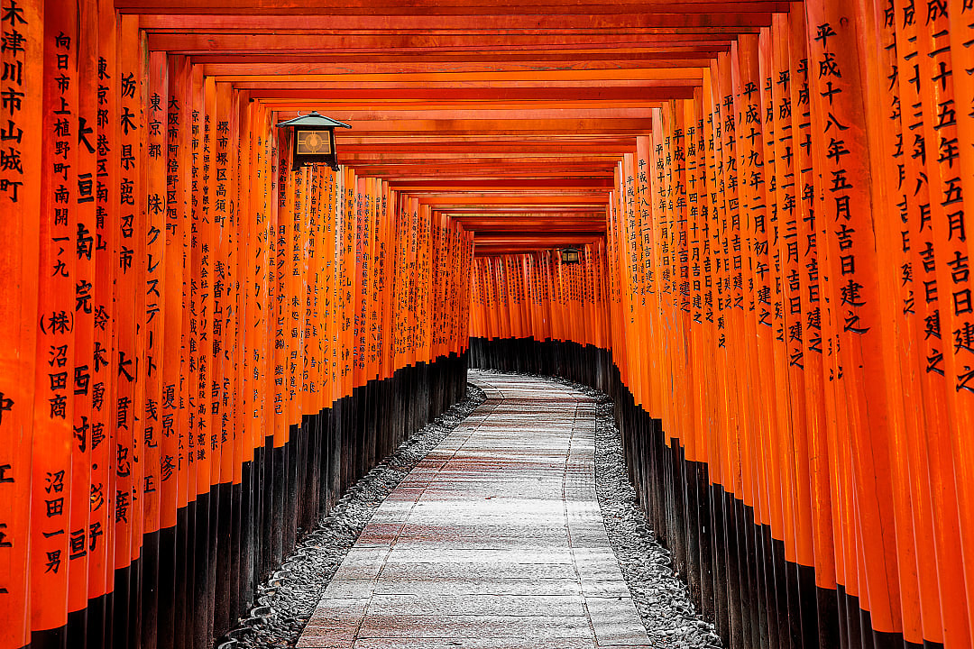 Snaking orange pillars of Fushimi Inari Shrine in Kyoto, Japan