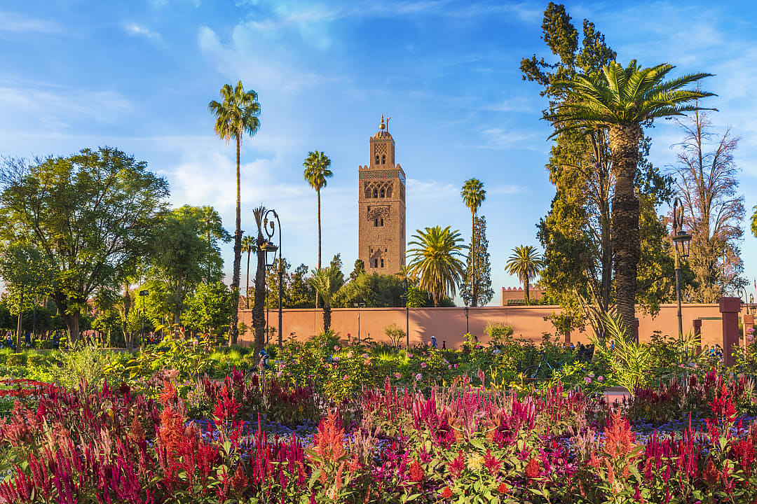 View of Koutoubia Mosque and garden in Marrakech, Morocco