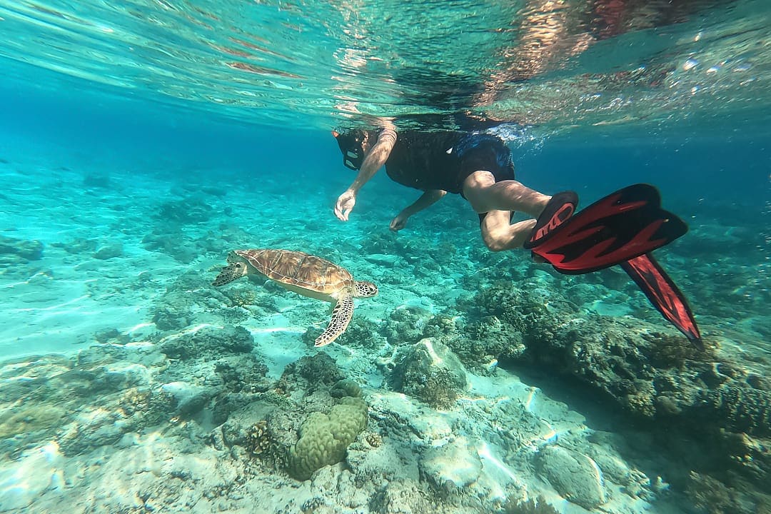 Snorkeler swimming alongside sea turtle over coral reef in Indonesia