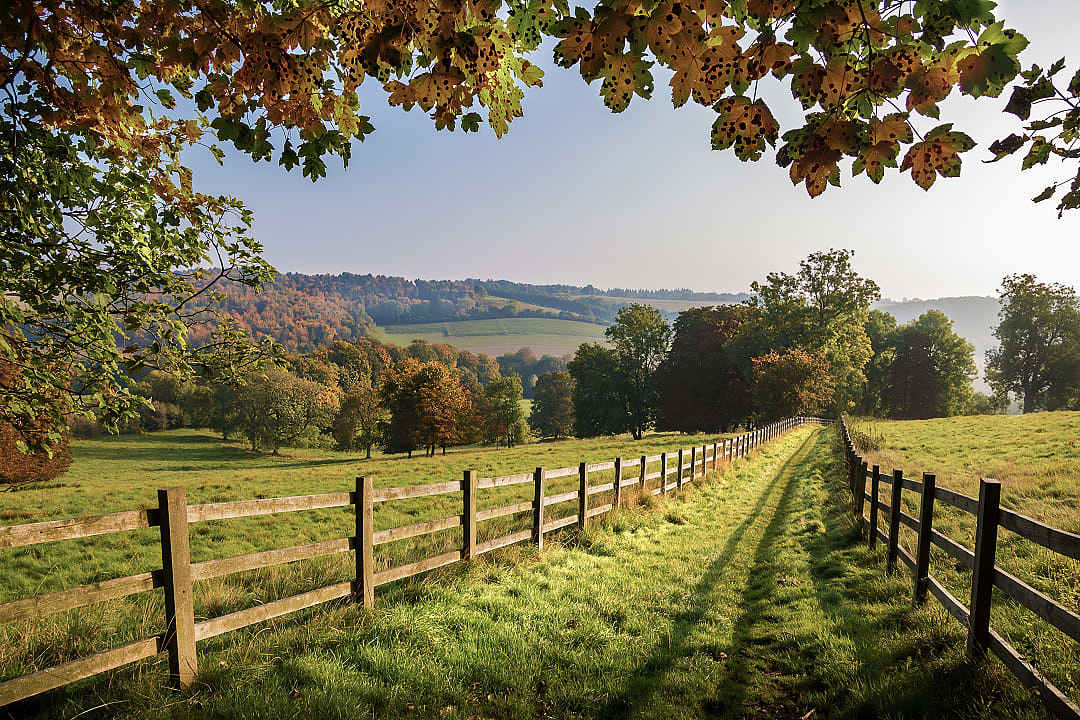 Chiltern countryside in Buckinghamshire, England