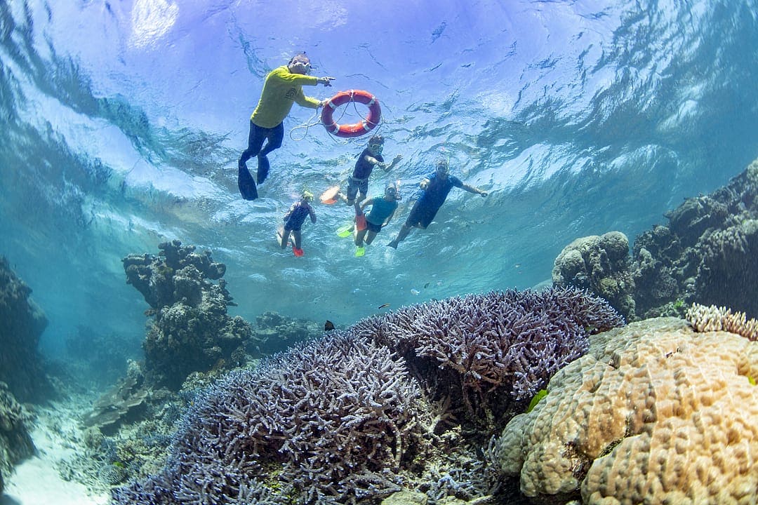Family snorkeling the Great Barrier Reef, Australia